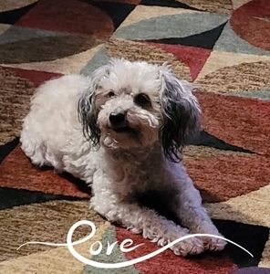 Meet your Posher, Cheryl